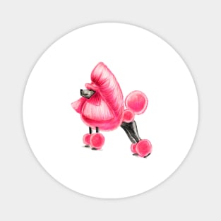 Pink Poodle Magnet